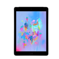 Apple iPad 6 32GB Spacegrau Wi-Fi + 4G (2018) Spacegrau