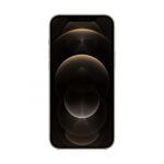 Apple iPhone 12 Pro 256GB gold gold