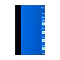 Microsoft Surface Pro 5 silber Core-i5-7300U 2,6GHz 256GB/8GB LTE (2017) silber