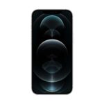 Apple iPhone 12 Pro Max 128GB silber silber