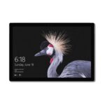 Microsoft Surface Pro 5 silber Core-i5-7300U 2,6GHz 256GB/8GB LTE (2017) silber