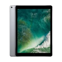 Apple iPad Pro 12.9 (2.Gen) 64GB spacegrau Wi-Fi (2017) spacegrau