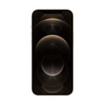 Apple iPhone 12 Pro Max 256GB gold gold