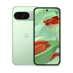 Google Pixel 9 128GB Wintergreen Wintergreen
